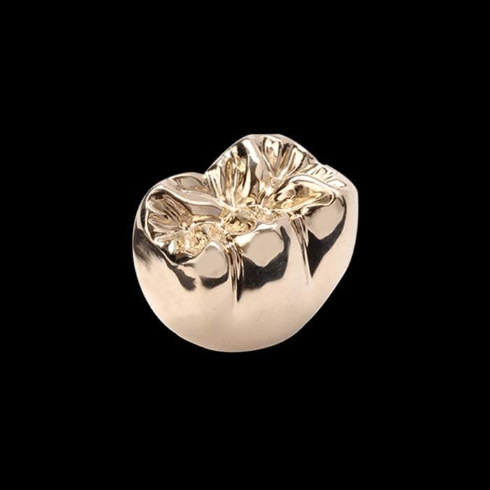 Full-Cast-1 Full-Cast-1