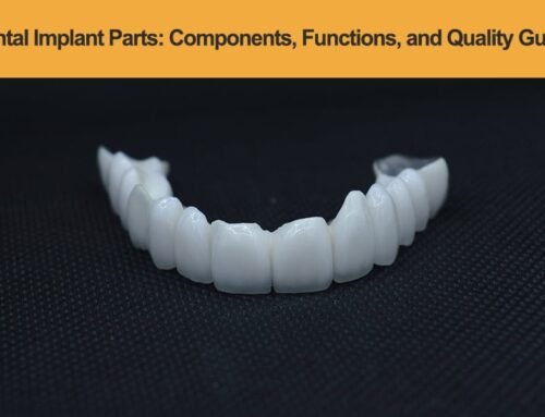 Dental Implant Parts: A Complete Guide to Components, Functions, and Quality Standards